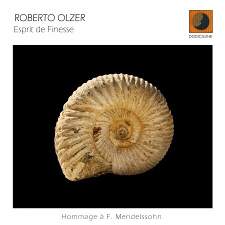 Cover for Roberto Olzer · Esprit De Finesse (CD) (2009)