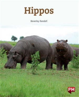 Cover for Beverley Randell · Hippos (Taschenbuch)