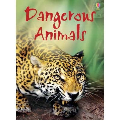 Cover for Rebecca Gilpin · Dangerous Animals - Beginners (Hardcover bog) (2008)