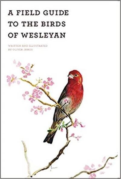 Cover for Oliver James · A Field Guide of the Birds of Wesleyan (Paperback Bog) (2014)