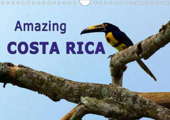 Cover for Schoen · Amazing Costa Rica (Wall Calenda (Book)