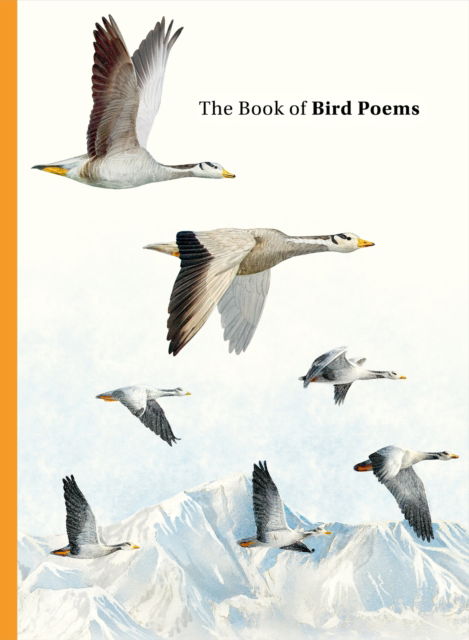 Cover for Ana Sampson · The Book of Bird Poems (Hardcover Book) (2024)