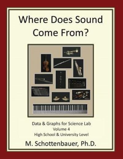 Cover for M Schottenbauer · Where Does Sound Come From? Data &amp; Graphs for Science Lab: Volume 4 (Paperback Bog) (2013)