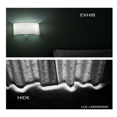 Cover for Luc Langrand · Exhib / Hide (Paperback Book) (2014)