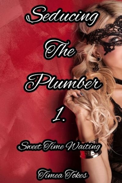 Cover for Timea Tokes · Seducing the Plumber 1 (Pocketbok) (2017)