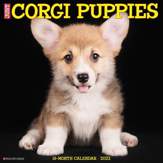 Cover for Willow Creek Press · Just Corgi Puppies 2022 Wall Calendar (Dog Breed) [Edizione: Regno Unito] (Book) (2021)