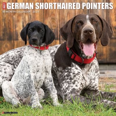 Just German Shorthaired Pointers 2024 12 X 12 Wall Calendar - Willow Creek Press - Marchandise - Willow Creek Press - 9781549233630 - 1 août 2023