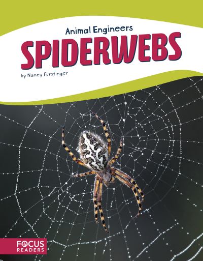 Cover for Nancy Furstinger · Spiderwebs (Hardcover Book) (2018)