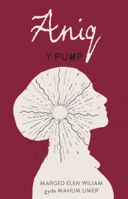 Cover for Marged Elen Wiliam gyda Mahum Umer · Pump, Y - Aniq (Paperback Book) (2021)