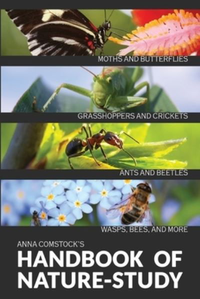 Cover for Anna B Comstock · The Handbook Of Nature Study in Color - Insects (Pocketbok) (2020)