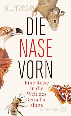 Cover for Bill Hansson · Die Nase vorn (Hardcover Book) (2021)
