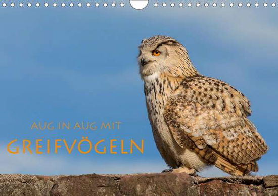 Aug in Aug mit Greifvögeln (Wandk - Peyer - Books -  - 9783670726630 - 