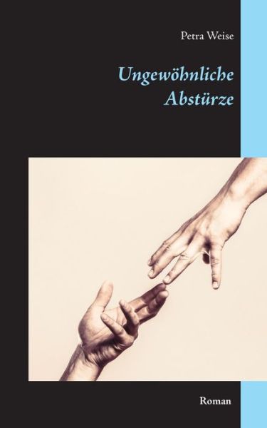 Cover for Weise · Ungewöhnliche Abstürze (Book) (2019)