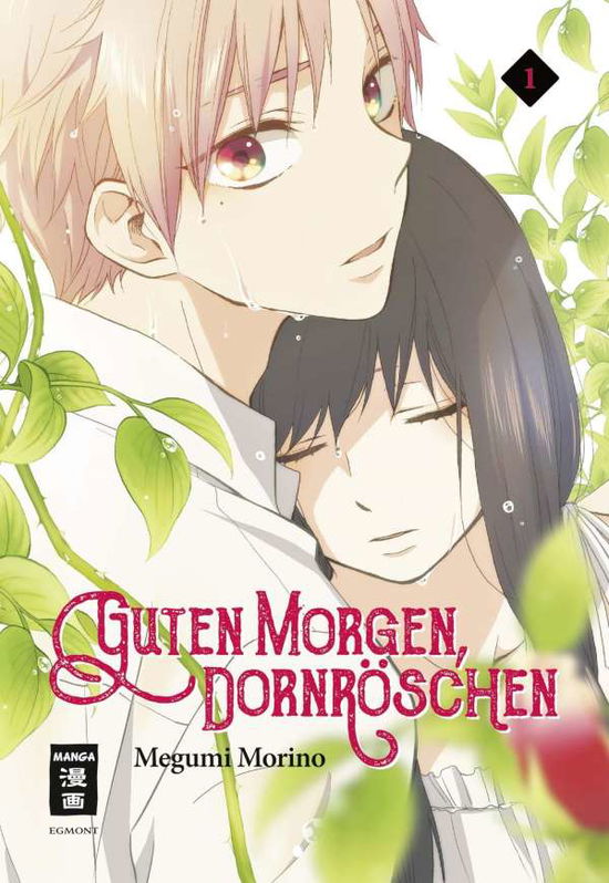 Cover for Morino · Guten Morgen, Dornröschen! 01 (Book)