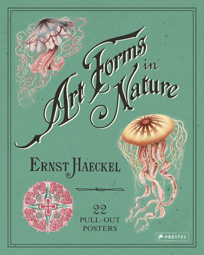 Cover for Haeckel, ,Ernst · Ernst Haeckel: Art Forms in Nature: 22 Pull-Out Posters (Paperback Book) (2019)