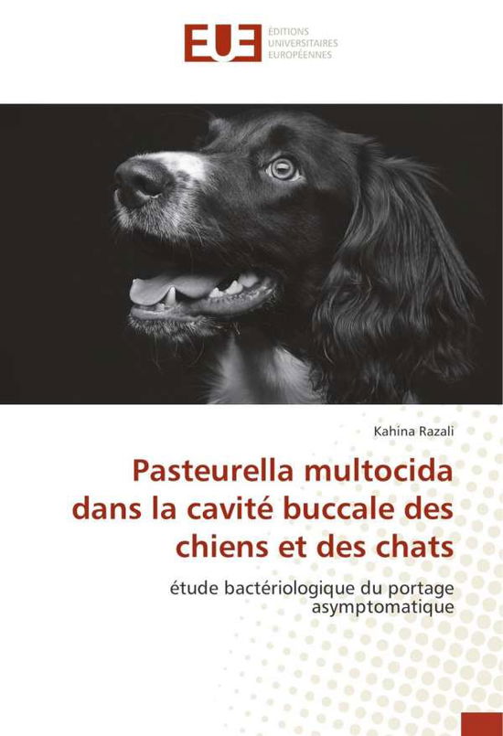 Pasteurella multocida dans la ca - Razali - Livres -  - 9783841616630 - 