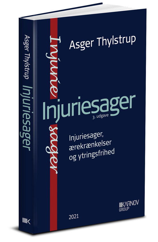 Cover for Asger Thylstrup · Injuriesager - Bagvaskelse, ærekrænkelser og ytringsfrihed (Sewn Spine Book) [3e édition] (2021)