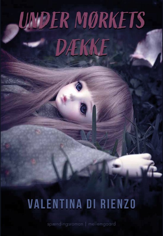 Cover for Valentina Di Rienzo · Under mørkets dække (Heftet bok) [1. utgave] (2024)