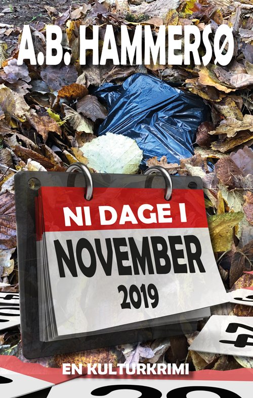Cover for A.B. Hammersø · Ni dage i november 2019 (Sewn Spine Book) [1er édition] (2021)