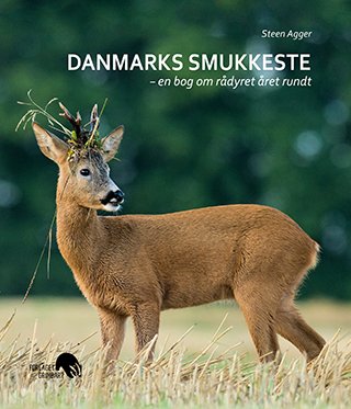 Cover for Steen Agger · Danmarks smukkeste (Book) (2018)