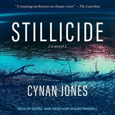 Cover for Cynan Jones · Stillicide (CD) (2021)