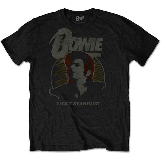 Cover for David Bowie · David Bowie Unisex T-Shirt: Vintage Ziggy (T-shirt)