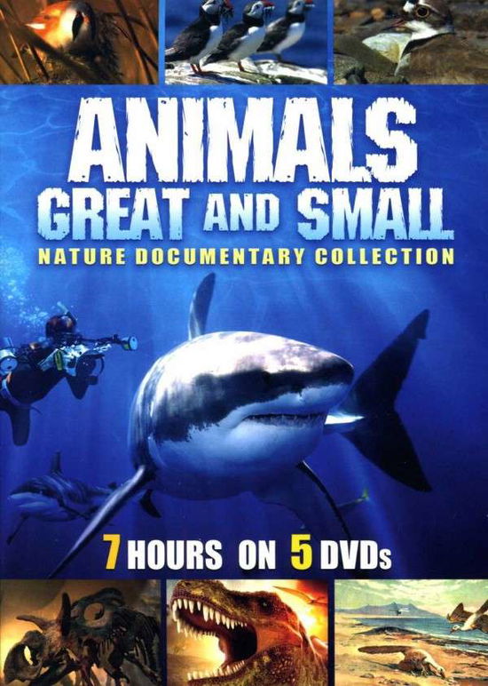 Cover for Animals Great &amp; Small DVD (DVD) [Box set] (2013)