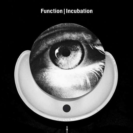 Cover for Function · Incubation (LP) (2013)