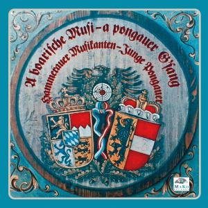 Cover for Hammerauer Musikanten / Junge Pongauer · A Boarische Musi-a Pongauer Gsang (CD) (2011)