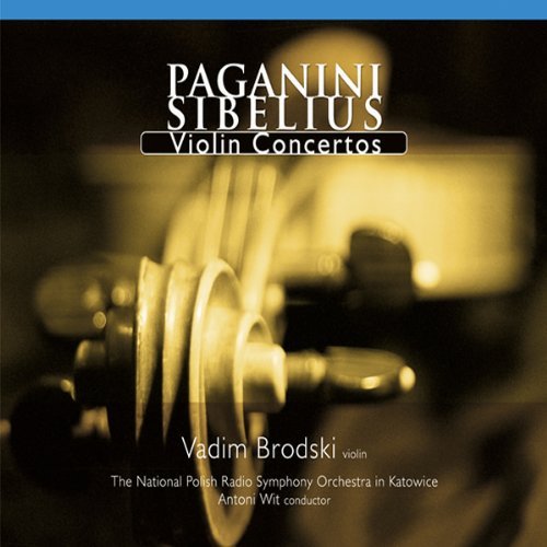 Masterpieces for Violin & Orchestra 2 - Paganini / Brodski / National Polish Symphony Orch - Musiikki - DUX - 5902547004631 - 2004