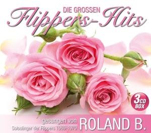 Cover for Roland B. · Die Grossen Flippers Hits (CD) (2011)