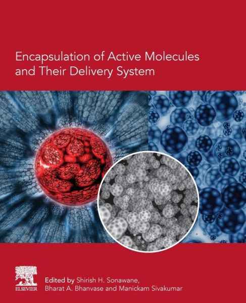 Cover for Shirish Hari Sonawane · Encapsulation of Active Molecules and Their Delivery System (Paperback Book) (2020)