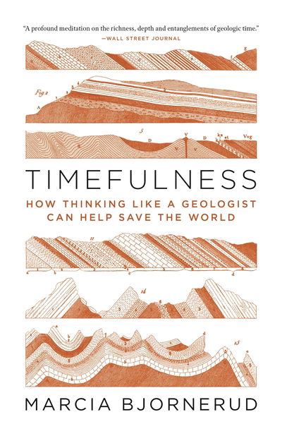 Cover for Marcia Bjornerud · Timefulness: How Thinking Like a Geologist Can Help Save the World (Paperback Book) (2020)