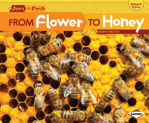 Cover for Robin Nelson · From Flower to Honey (Start to Finish: Nature's Cycles) (Start to Finish, Second) (Inbunden Bok) (2012)