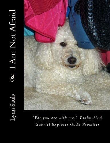 Cover for Lynn B Sauls · I Am Not Afraid: &quot;For You Are with Me.&quot;  Psalm 23:4  Gabriel Explores God's Promises (Paperback Book) (2013)