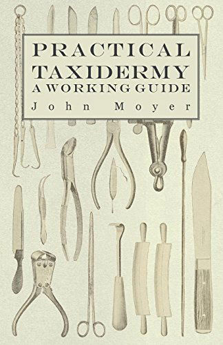 Cover for John Moyer · Practical Taxidermy - a Working Guide (Paperback Book) (2010)