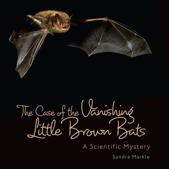 Cover for Sandra Markle · The Case of the Vanishing Little Brown Bats: a Scientific Mystery (Junior Library Guild Selection) (Gebundenes Buch) (2014)