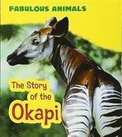 Cover for Anita Ganeri · The Story of the Okapi (N/A) (2017)