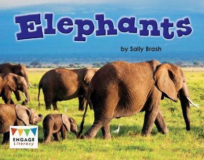 Cover for Kelly Gaffney · Elephants (Paperback Book) (2018)