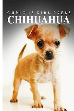 Cover for Curious Kids Press · Chihuahua - Curious Kids Press: Kids Book About Animals and Wildlife, Children's Books 4-6 (Paperback Book) (2014)
