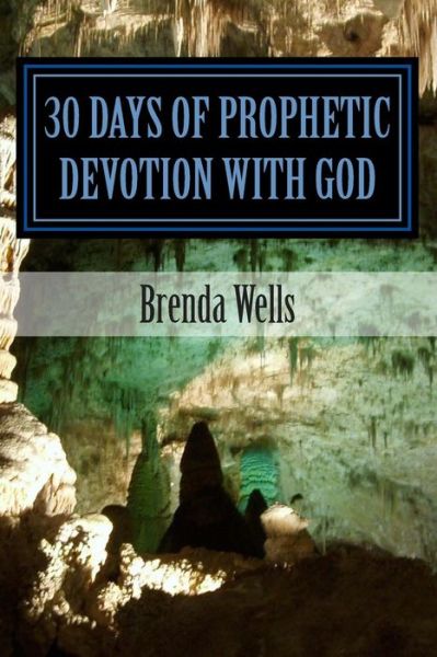 Cover for Ms Brenda Joyce Wells · 30 Days of Prophetic Devotion with God (Paperback Book) (2014)