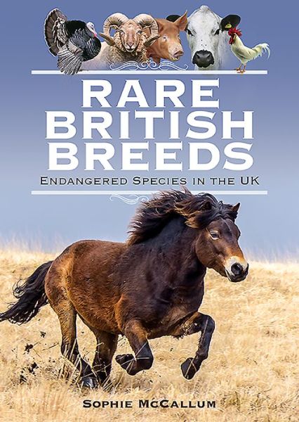 Cover for Sophie McCallum · Rare British Breeds: Endangered Species in the UK (Hardcover Book) (2020)