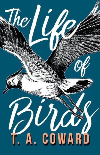 Cover for T. A. Coward · The Life of Birds (Paperback Book) (2017)