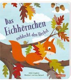 Cover for Anita Loughrey · Das Eichhörnchen entdeckt den Herbst (Board book) (2021)