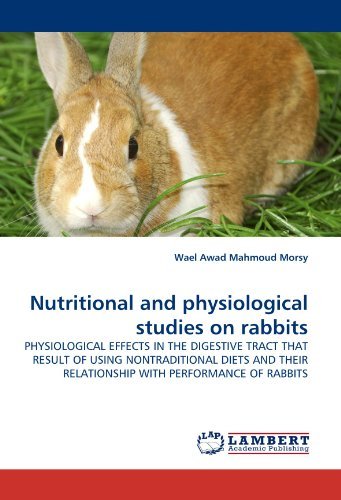 Cover for Wael Awad Mahmoud Morsy · Nutritional and Physiological Studies on Rabbits: Physiological Effects in the Digestive Tract That Result of Using Nontraditional Diets and Their Relationship with Performance of Rabbits (Paperback Book) (2011)