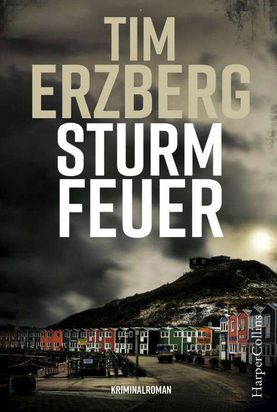 Cover for Erzberg · Sturmfeuer (Book)