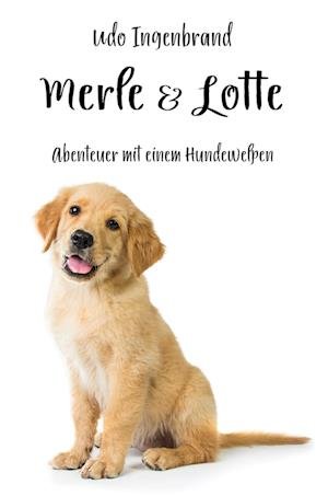 Cover for Udo Ingenbrand · Merle &amp; Lotte (Buch) (2022)