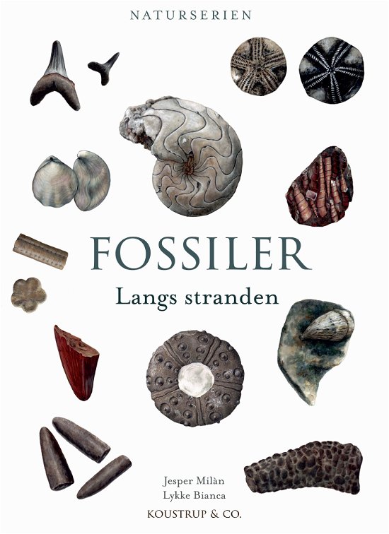 Cover for Jesper Milan · Naturserien: FOSSILER (Gebundesens Buch) [1. Ausgabe] (2021)