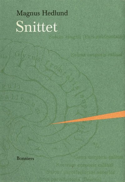 Cover for Magnus Hedlund · Snittet (ePUB) (2016)