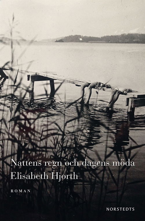 Cover for Hjorth Elisabeth · Nattens regn och dagens möda (Book) (2017)